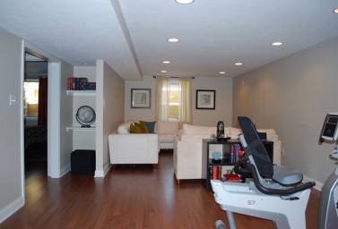 Basement Transformation